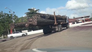 Nog geen verbod op houttransport over de weg3