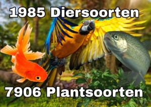 1Biodiversiteit van Suriname” 1985 diersoorten en 7906 plantsoorten1