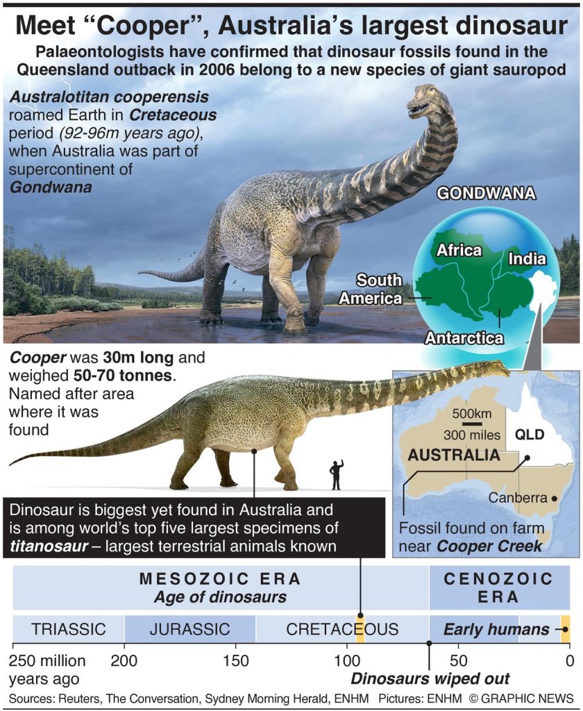 Meet “Cooper”, Australia’s Largest Dinosaur – Dagblad Suriname